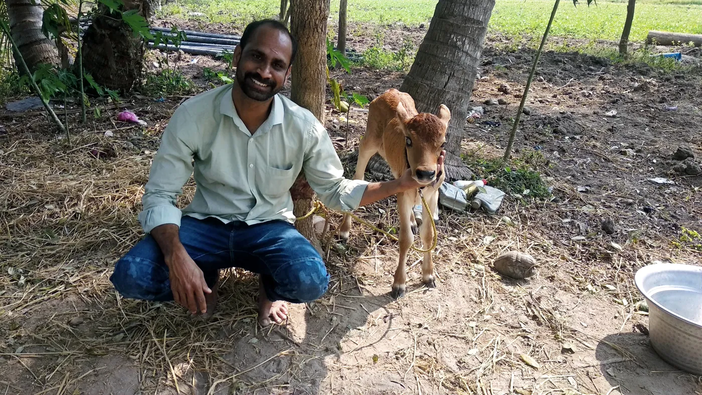 Vijay Kumar, founder of Canefrost, on a farm with a calf